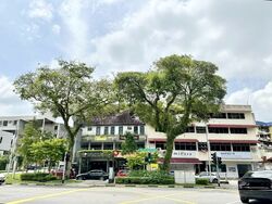 Lorong Kismis (D21), Terrace #549551171